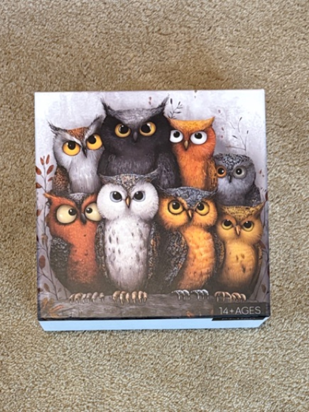 Larkipuzz Whimsical Owls 1000 piece square jigsaw puzzle
